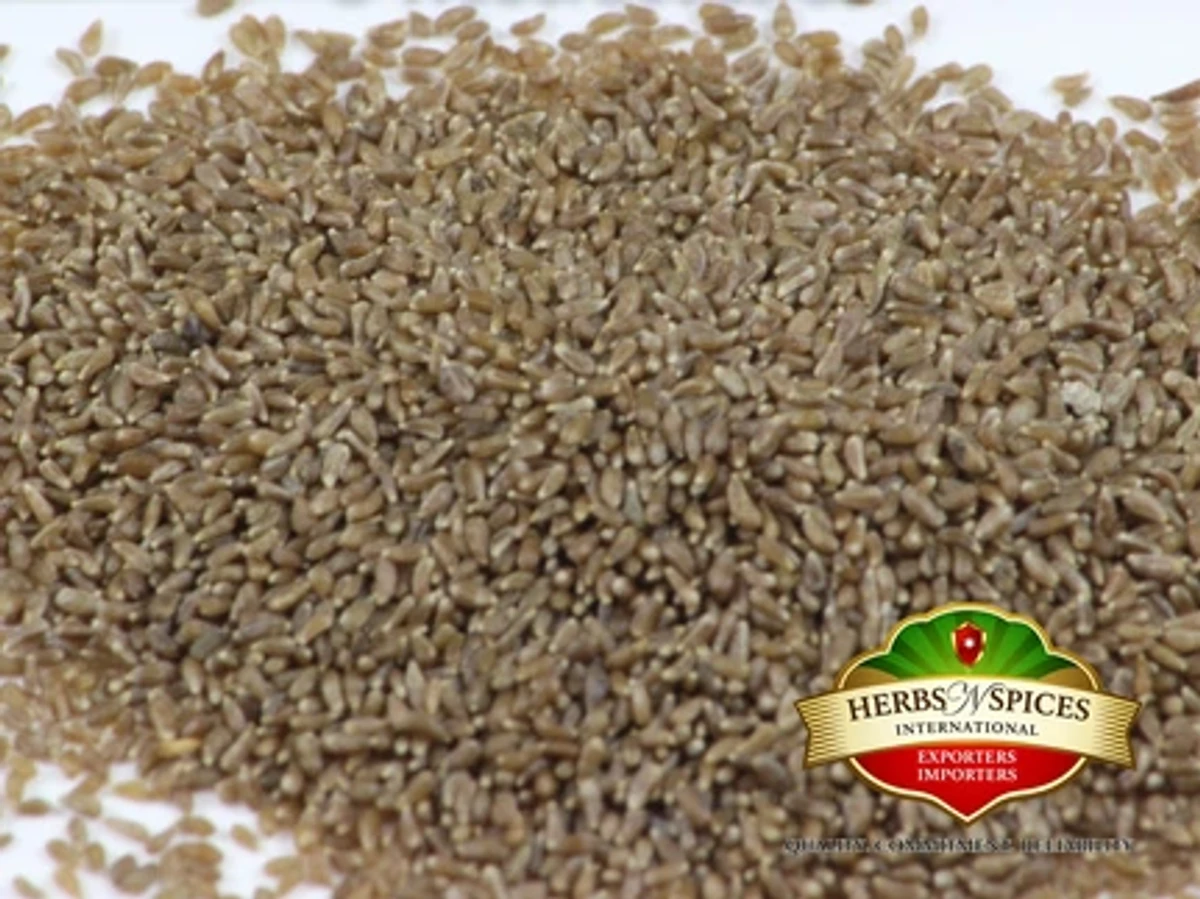 Artemisia Desertorum Seed