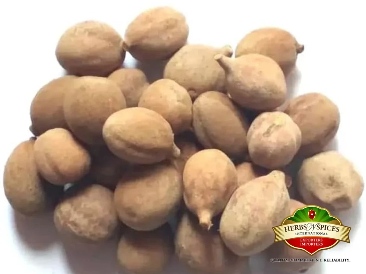 Bahera (Terminalia Bellirica)