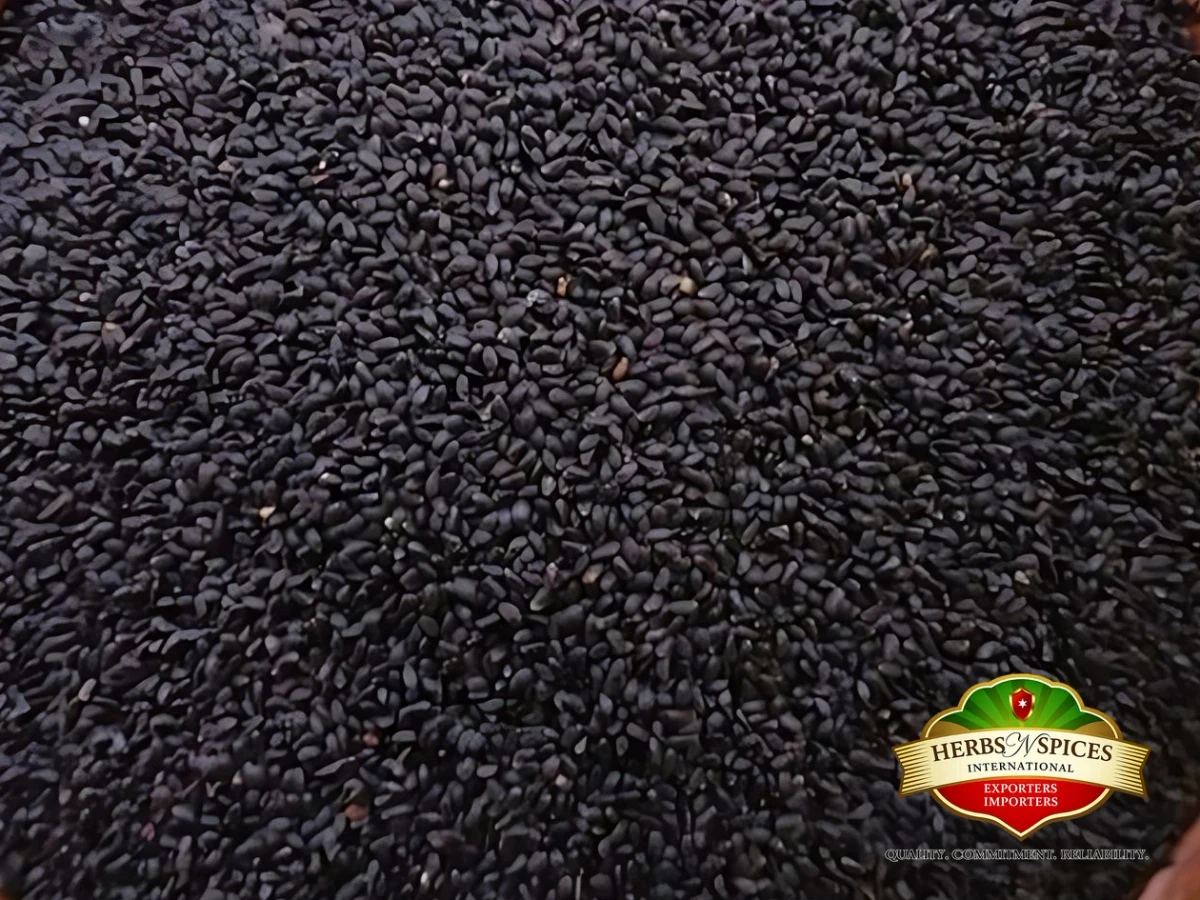 Basil Seed