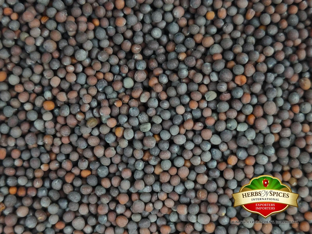 Black Mustard Bold