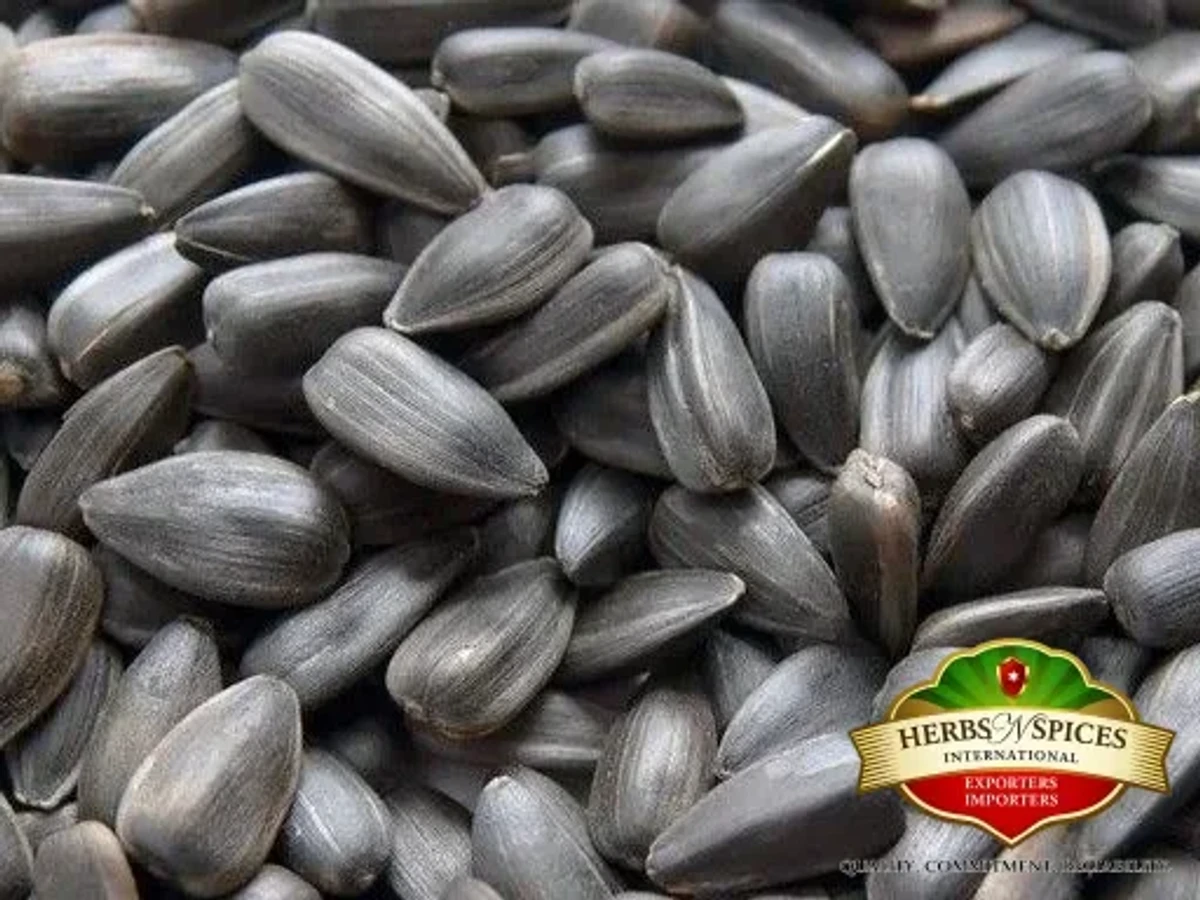 Black Sunflower Seed