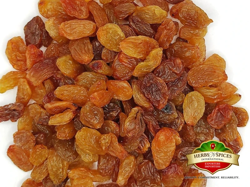 Brown Raisin
