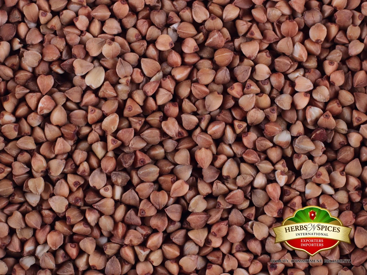 Buckwheat