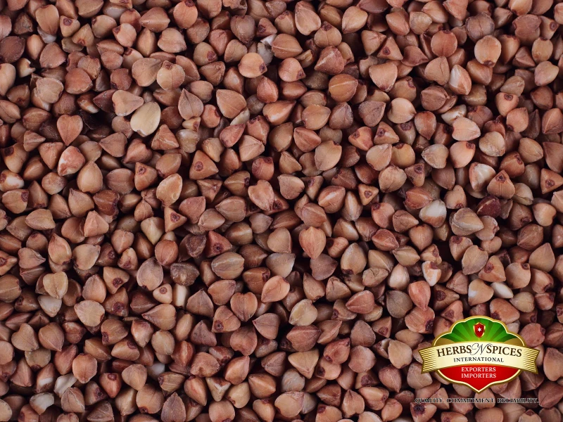 Buckwheat