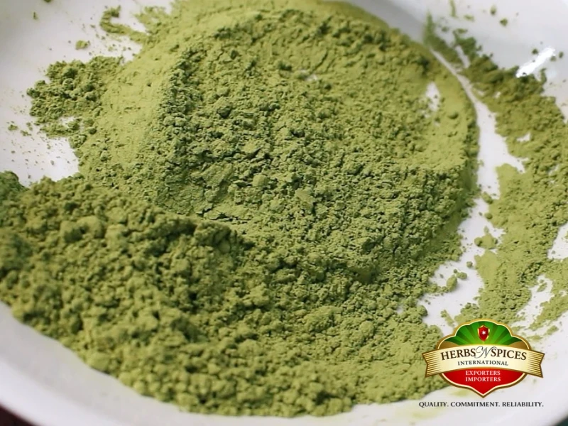 Cassia Obovata Powder