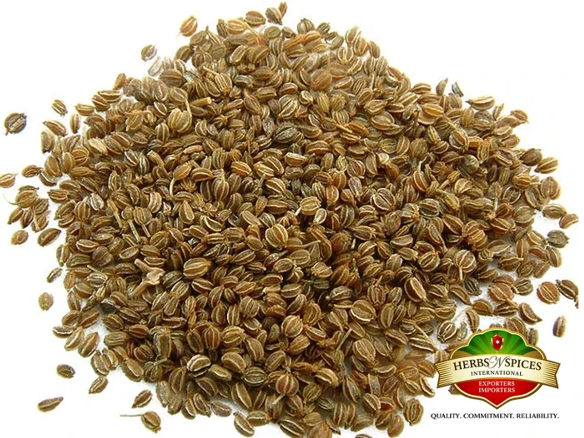Celery Seeds