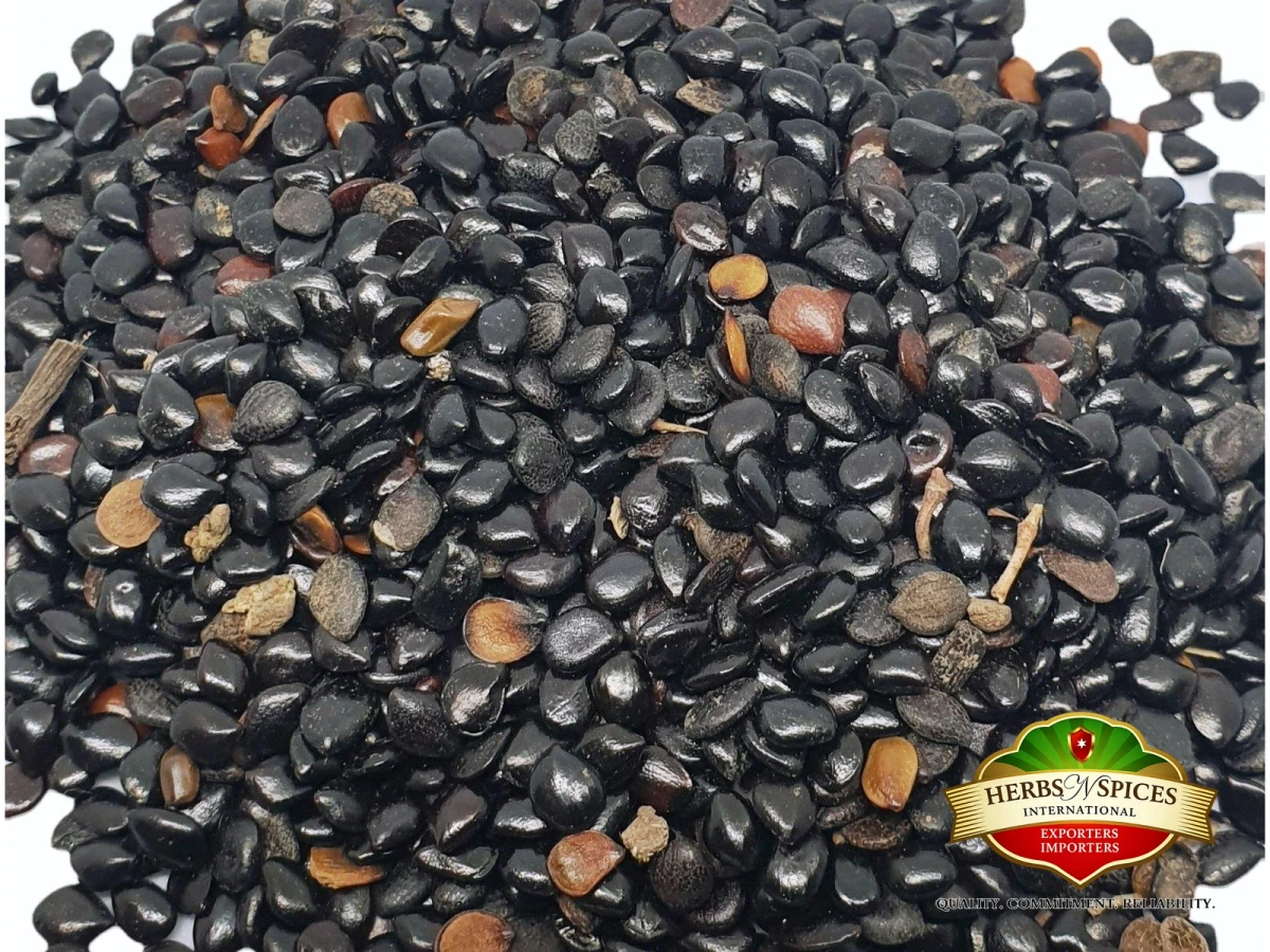 Chaksu Seed