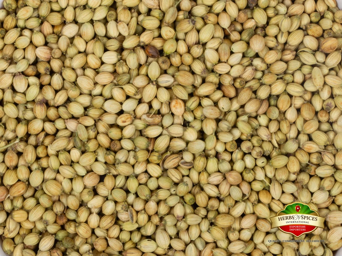 Coriander Seed