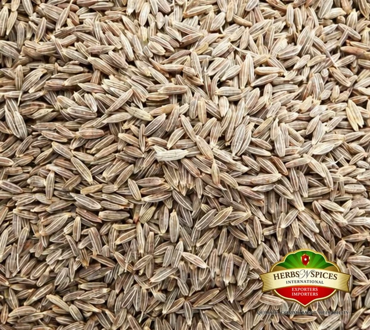 Cumin Seed