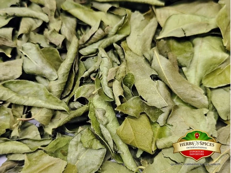 Curry Leaves