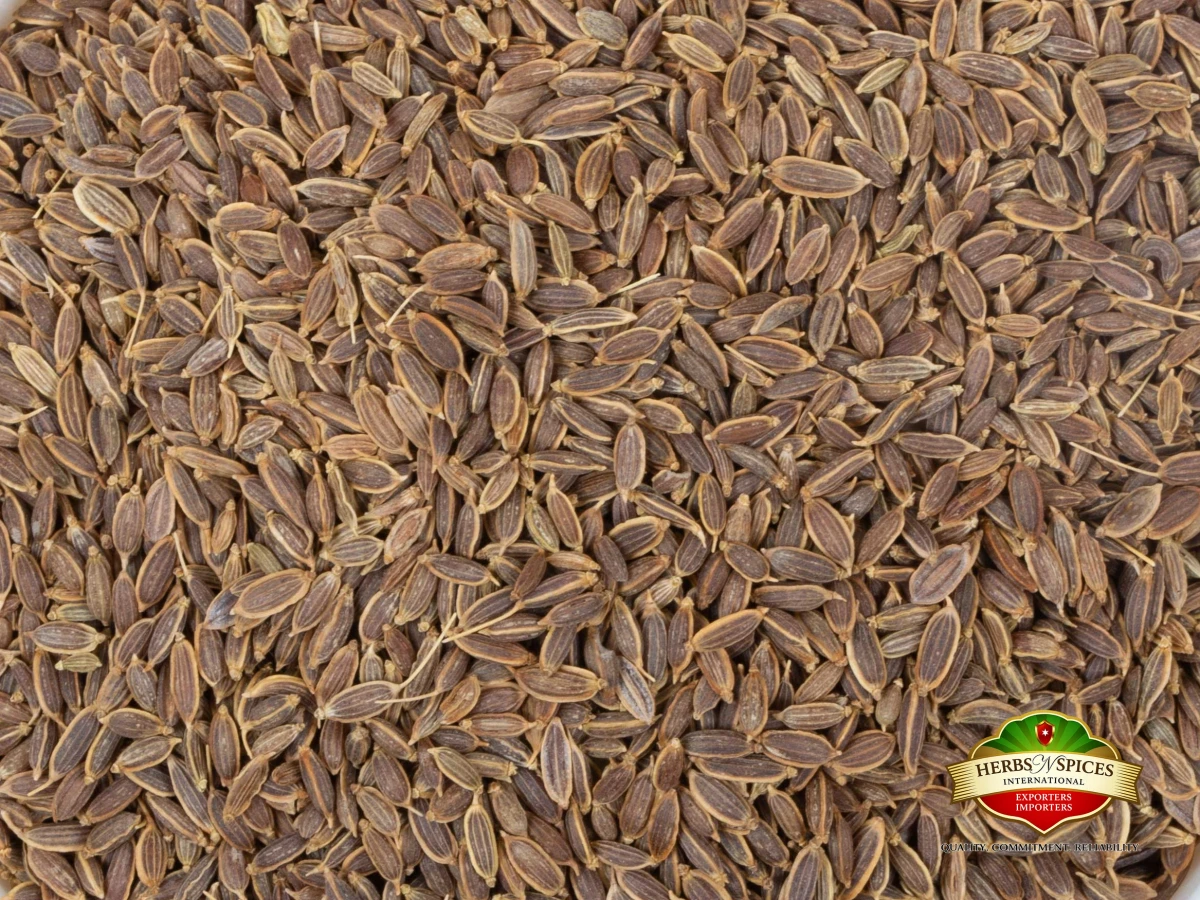 Dill Seed