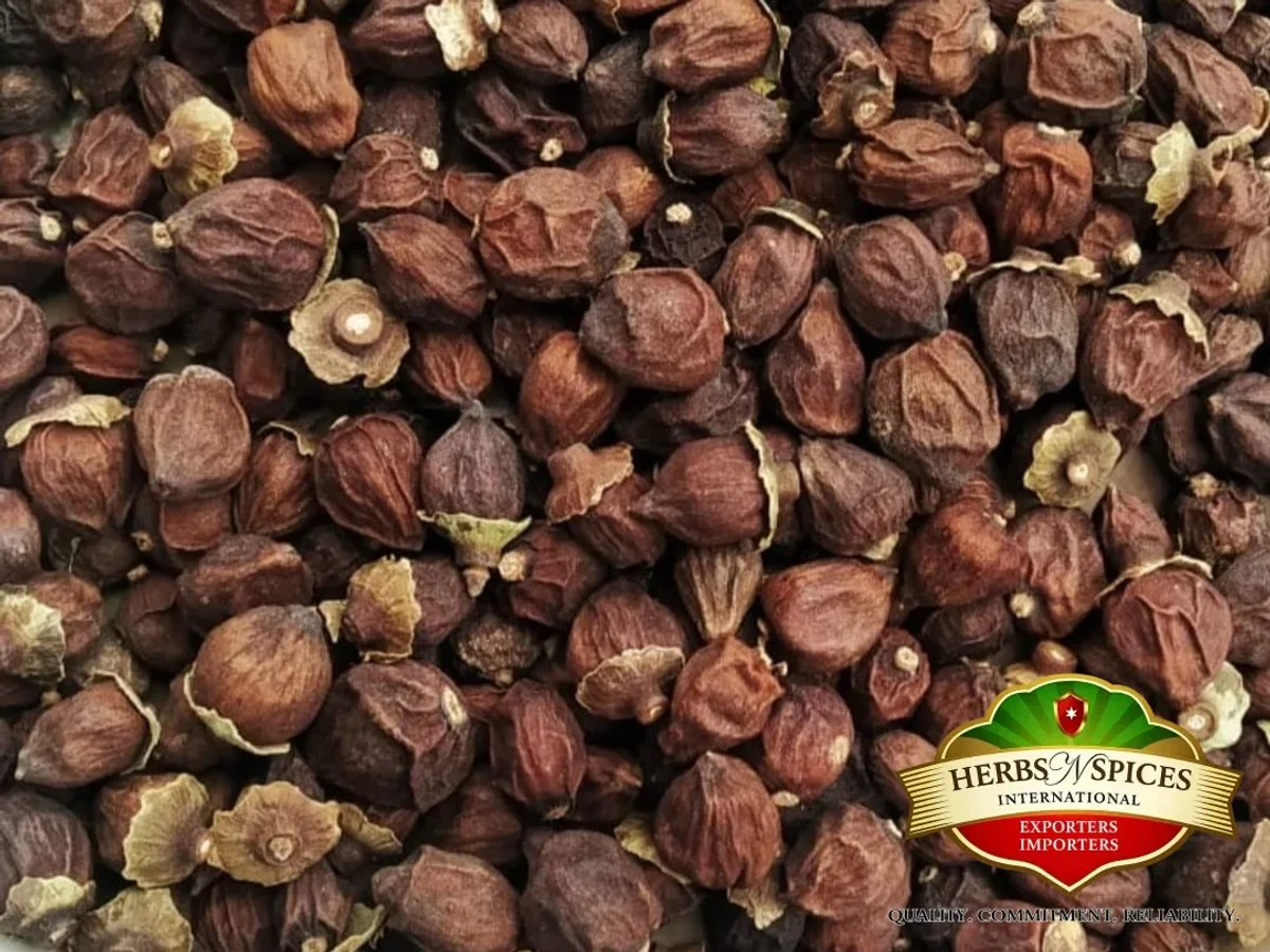 Dried Cordia Dichotoma (Lasora)