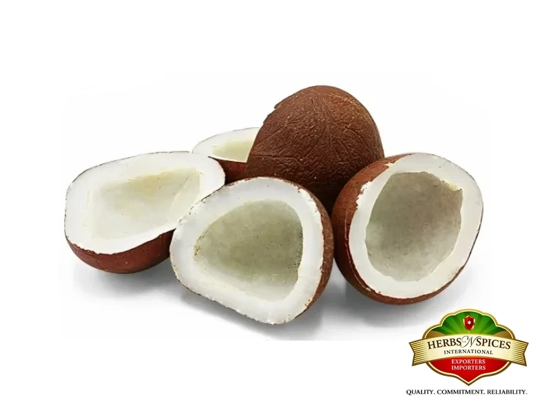 Dry Coconut Copra