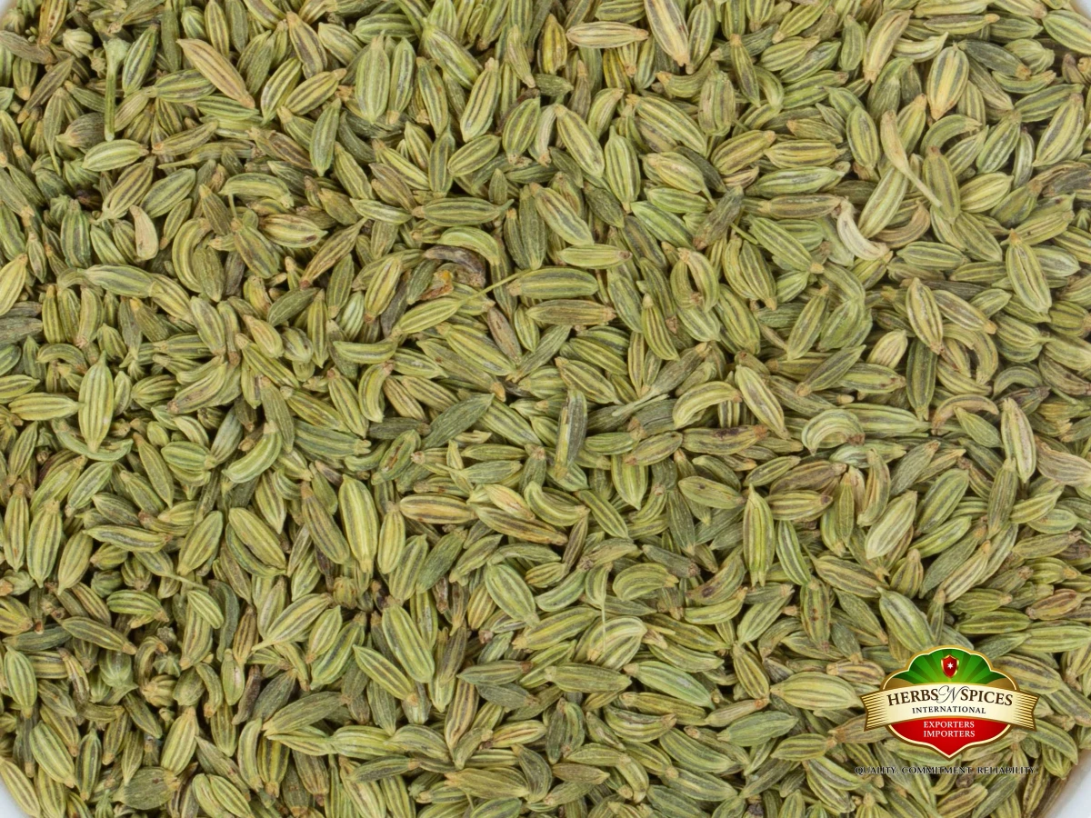 Fennel Seed