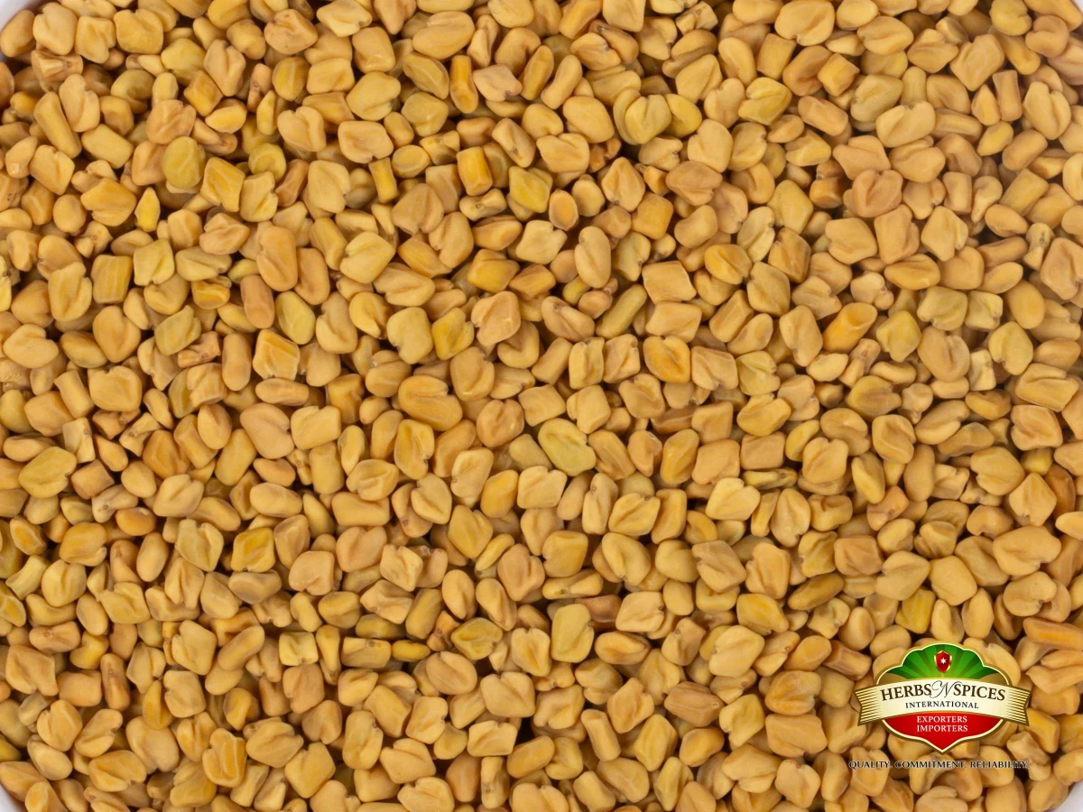 Fenugreek Seed