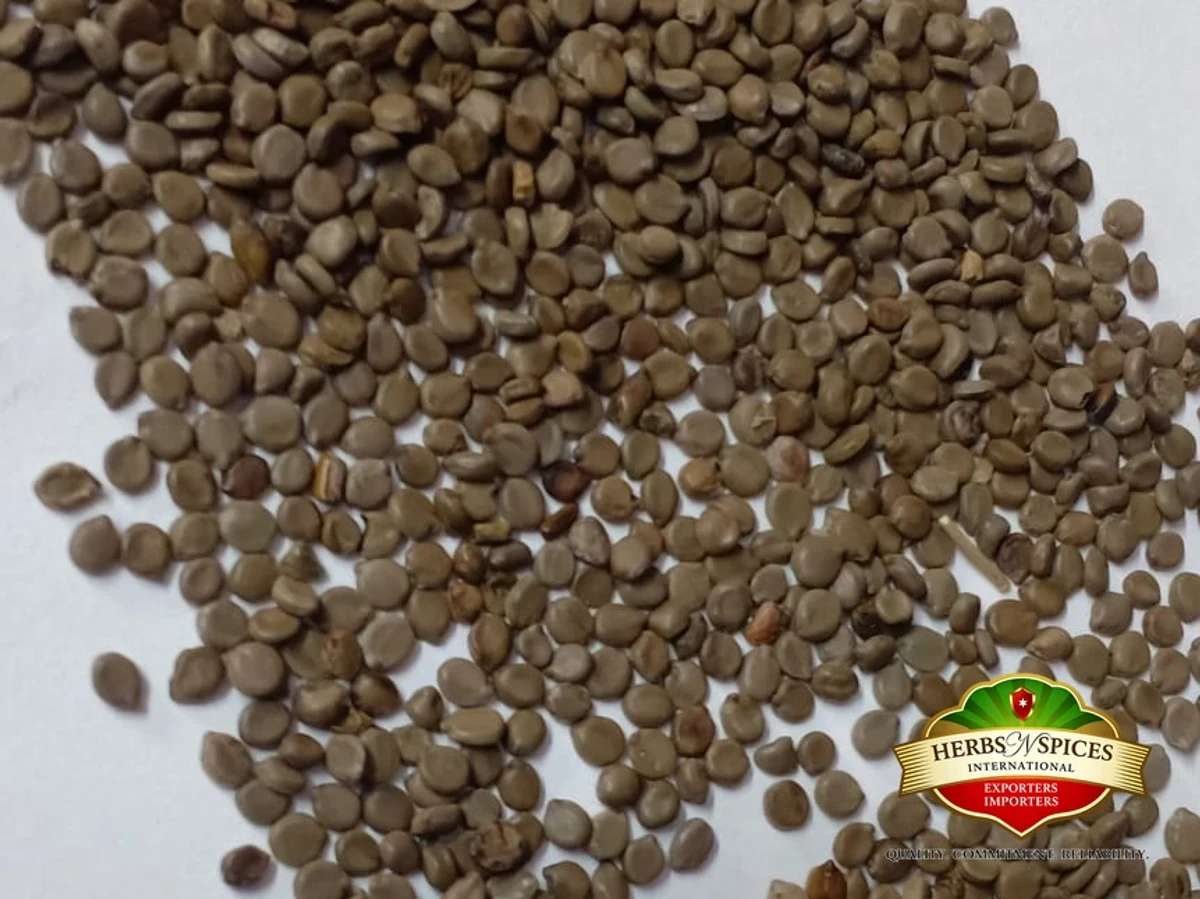 Flat Cassia Seeds