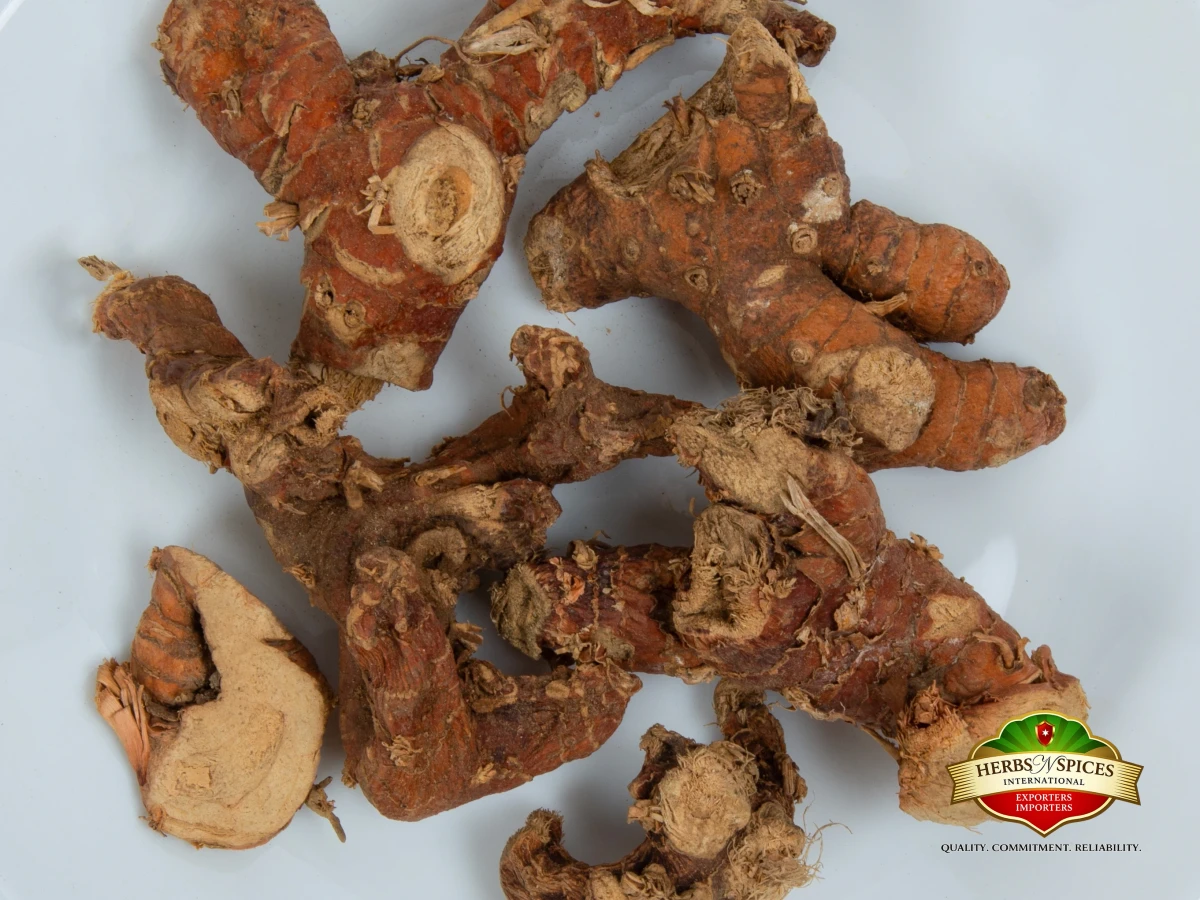 Galangal Roots