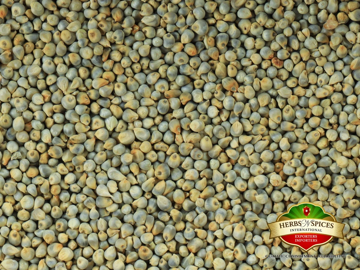 Green Millet