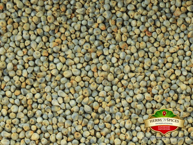 Green Millet