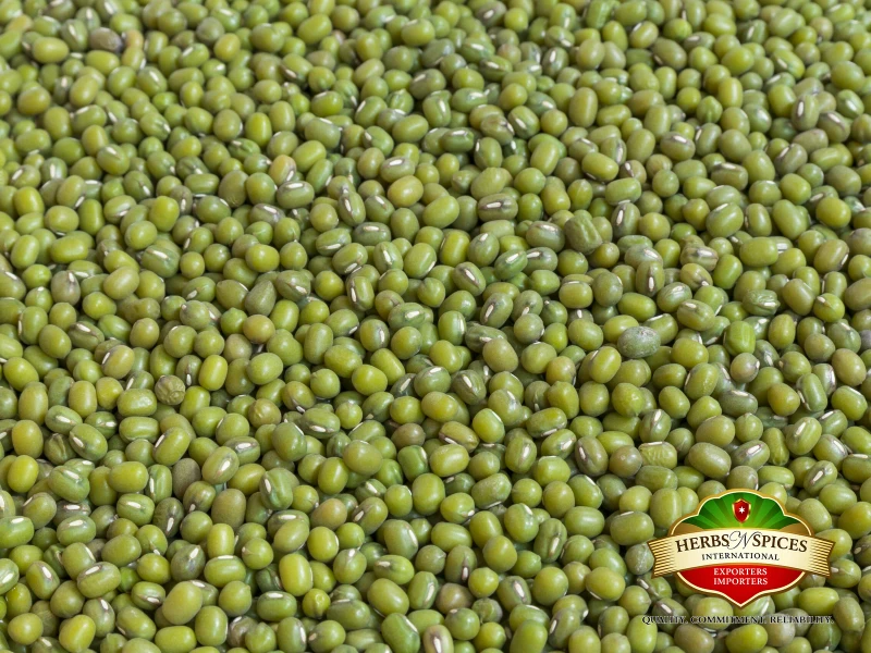 Green Mung Beans