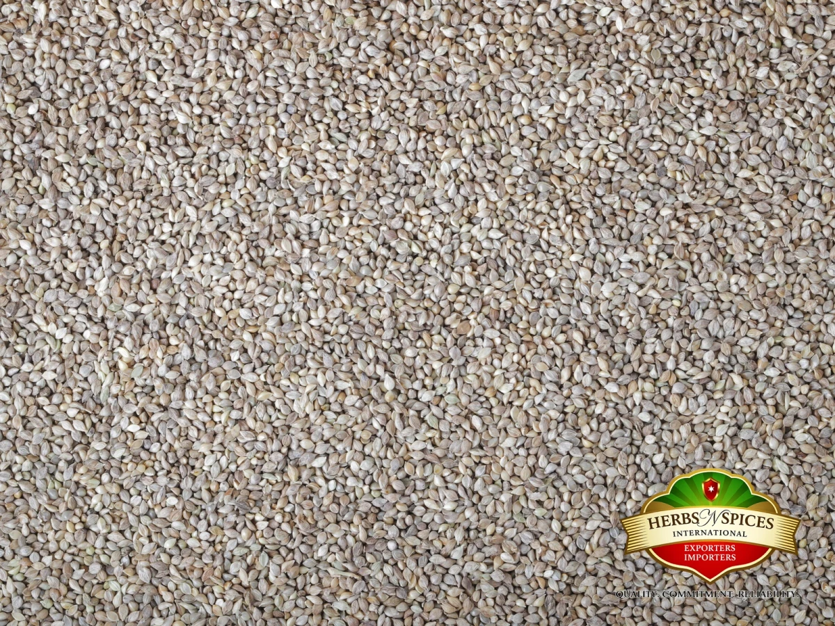 Grey Millet