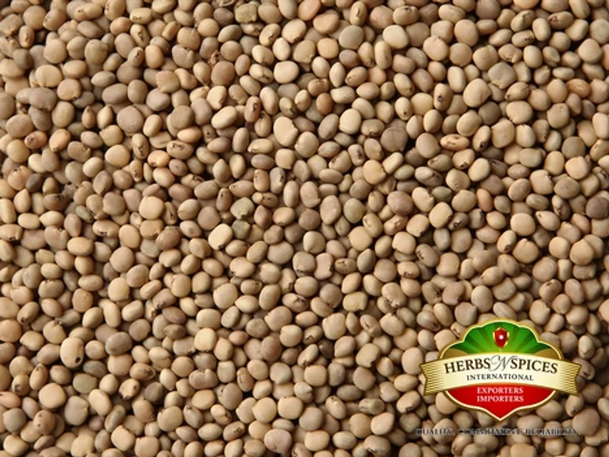 Guar Seed