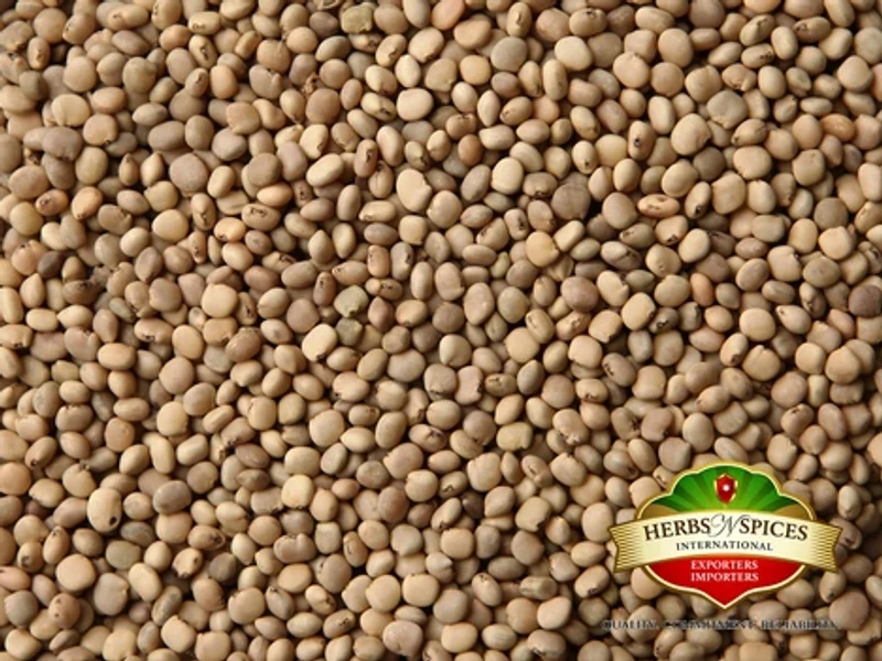 Guar Seed