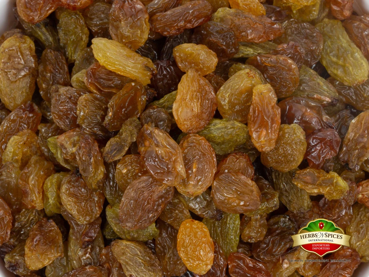 Malayar Raisins