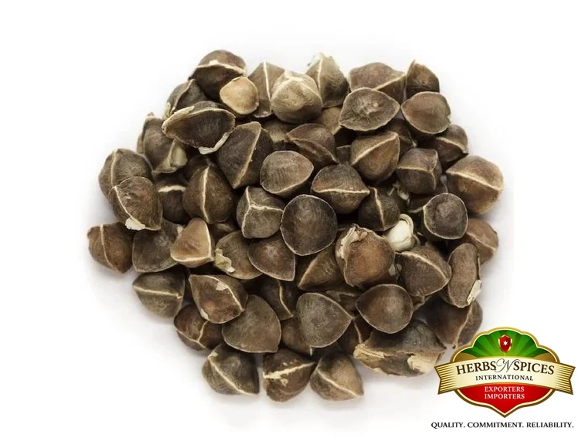Moringa Seeds