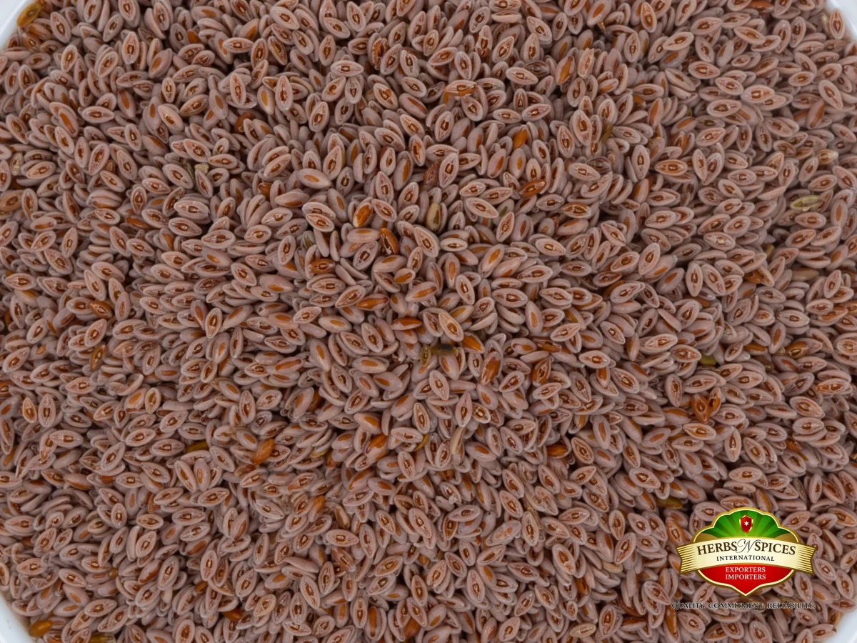Psyllium Seeds