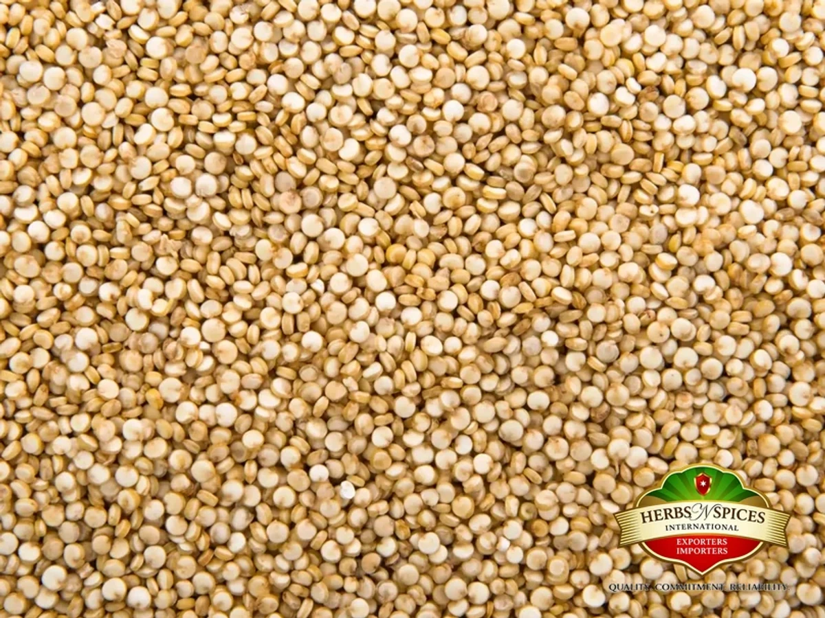 Quinoa