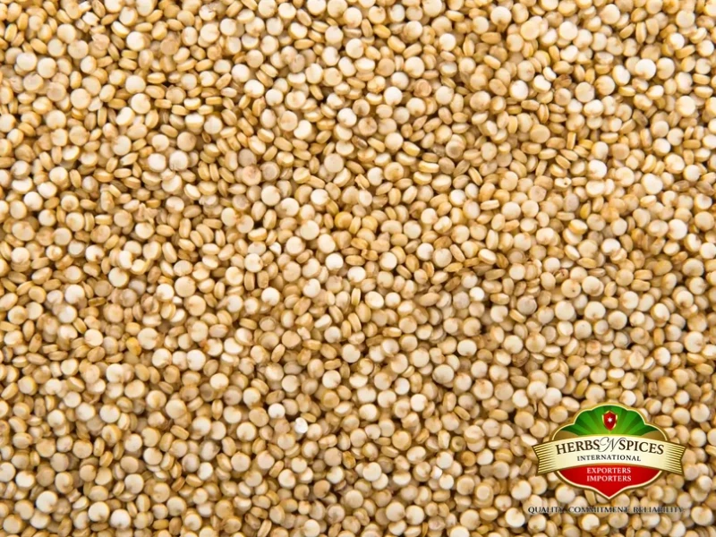 Quinoa