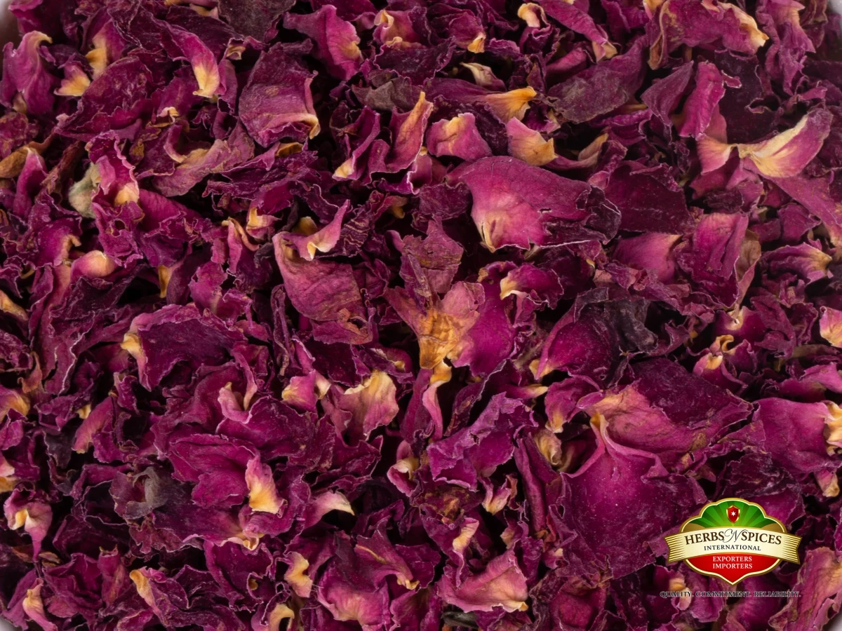 Rose Petals