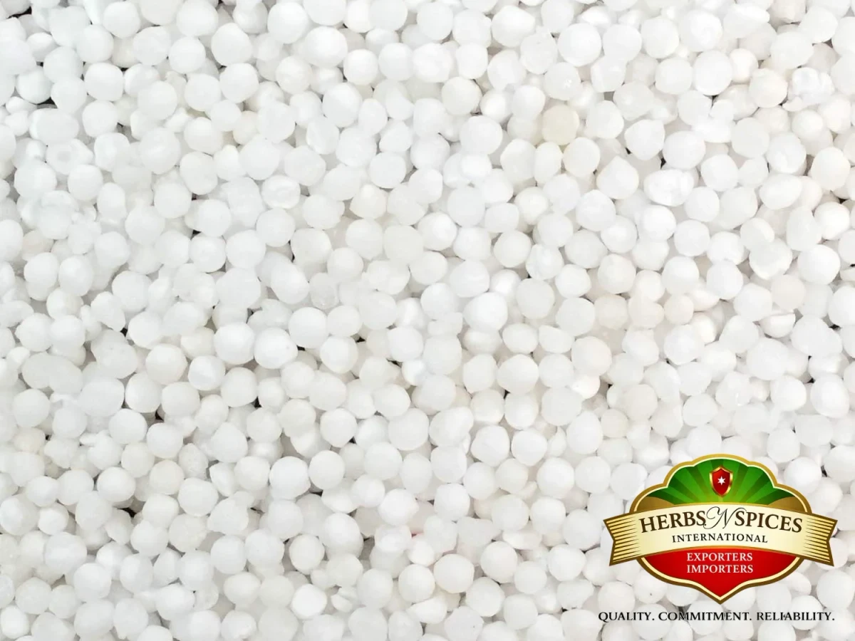 Sago Seed