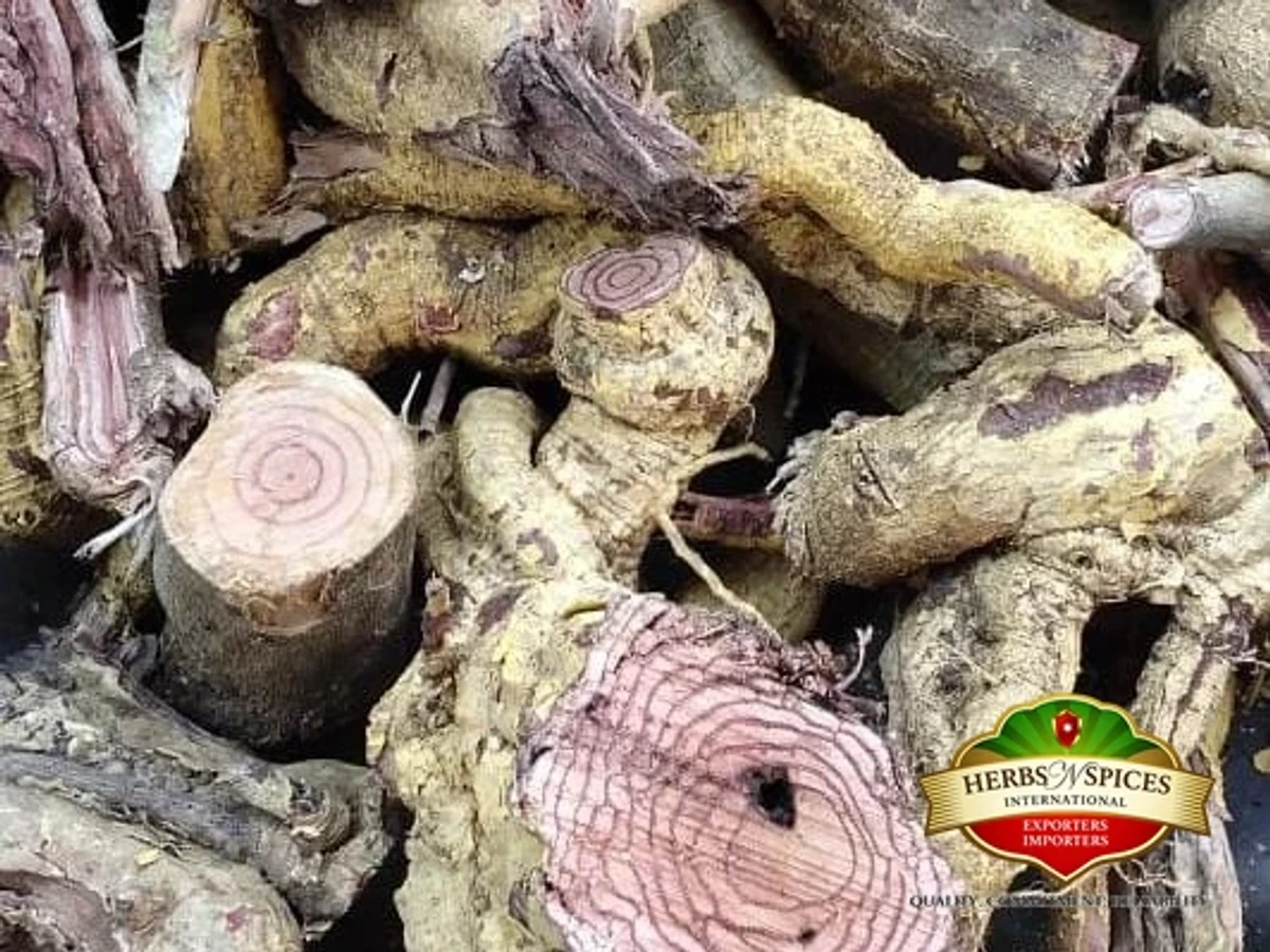 Saptarangi Root