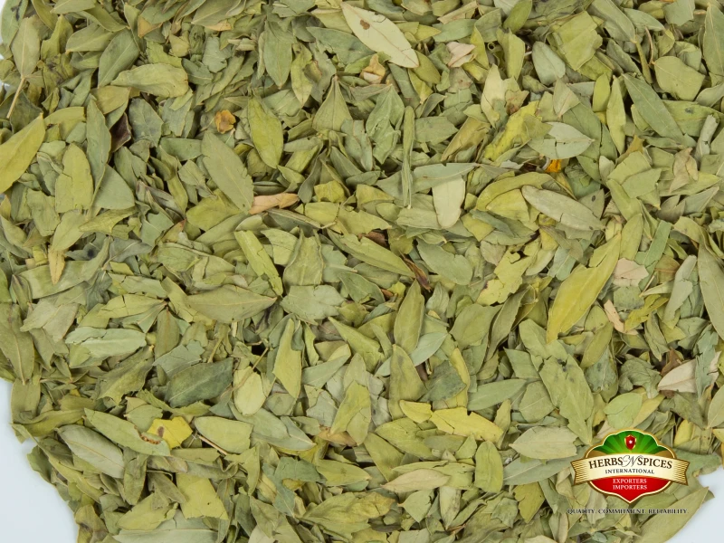 Senna Leaves
