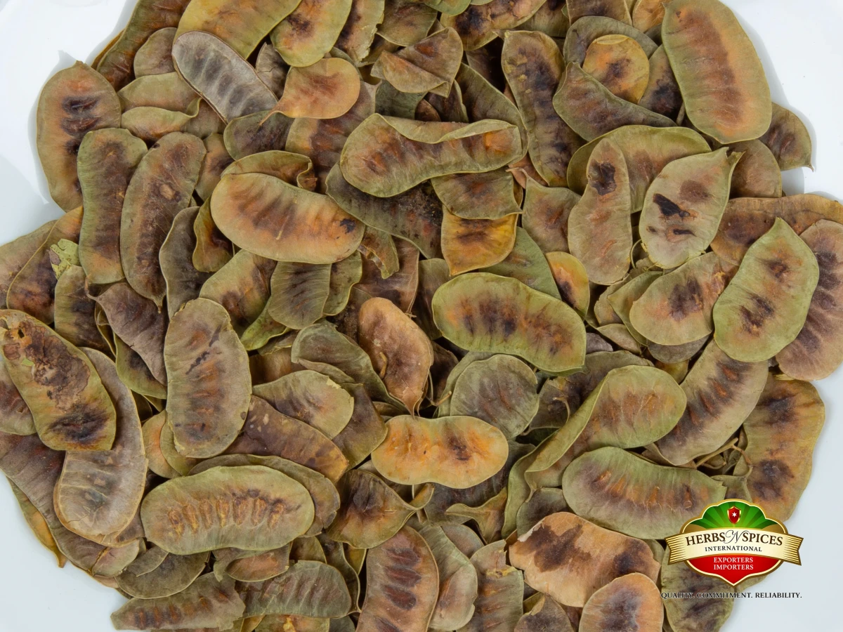 Senna Pods