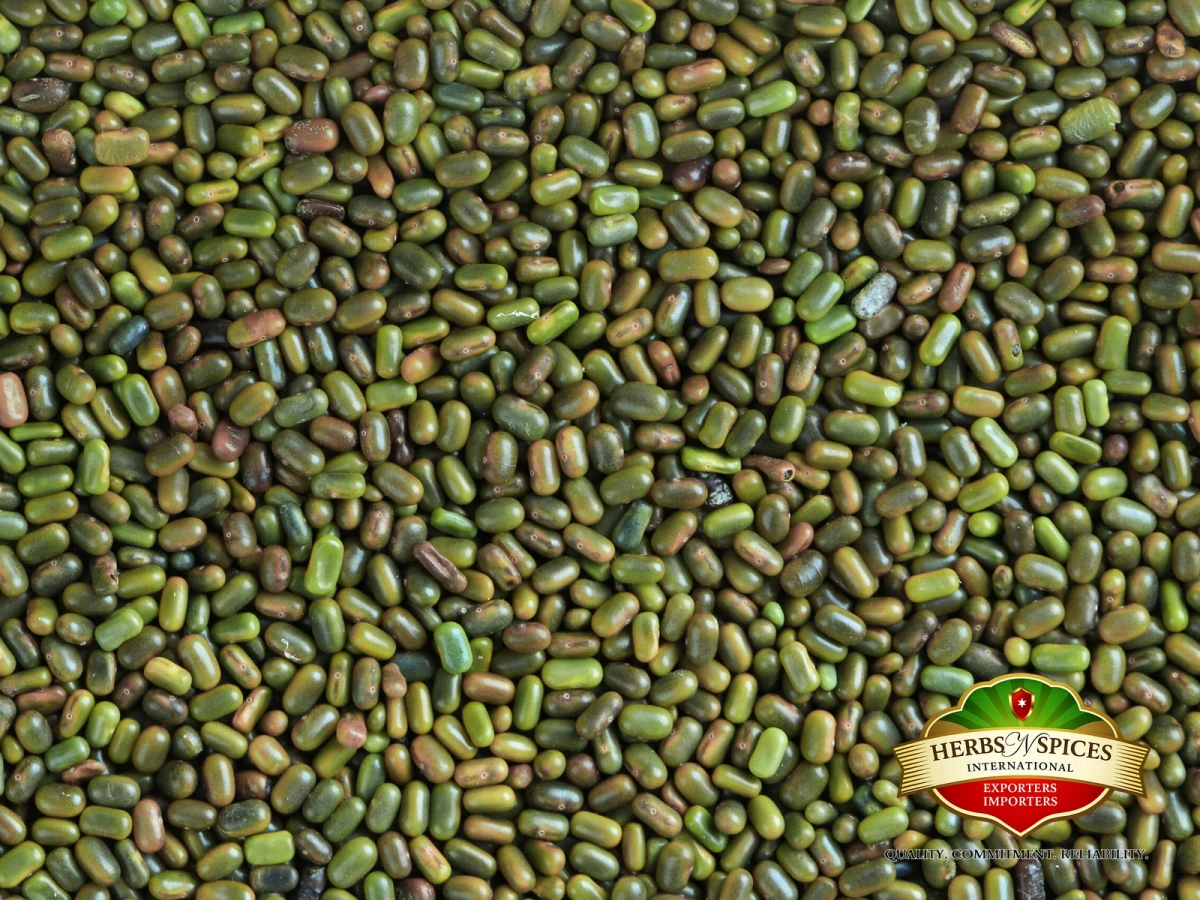 Sesbania Seed