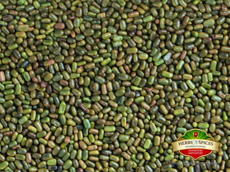 Sesbania Seed