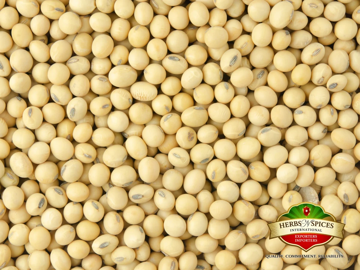 Soyabean