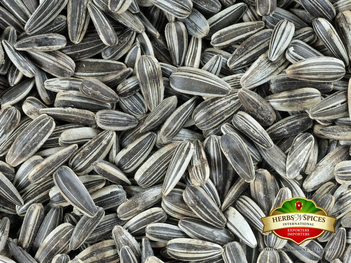 Striped Sunflower Seeds