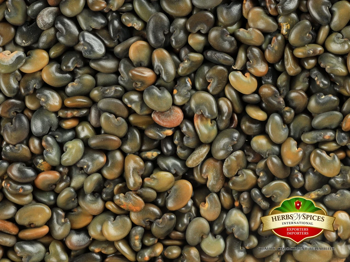 Sunhemp Seed