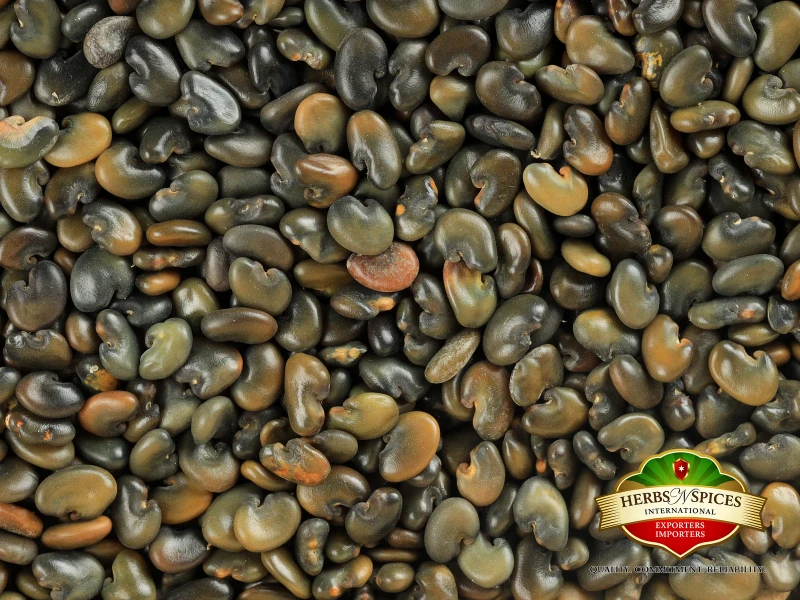 Sunhemp Seed