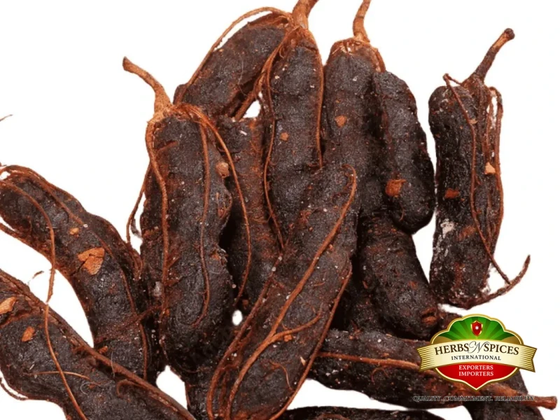 Tamarind