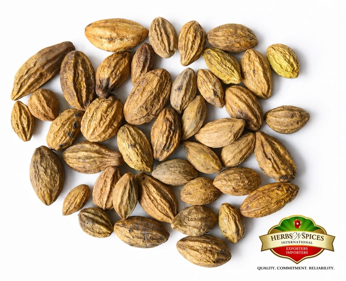 Terminalia Chebula (Harda)