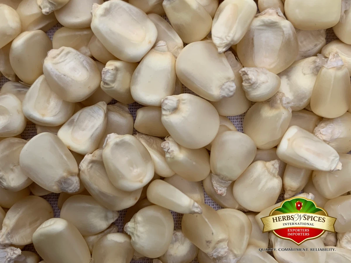 White Maize