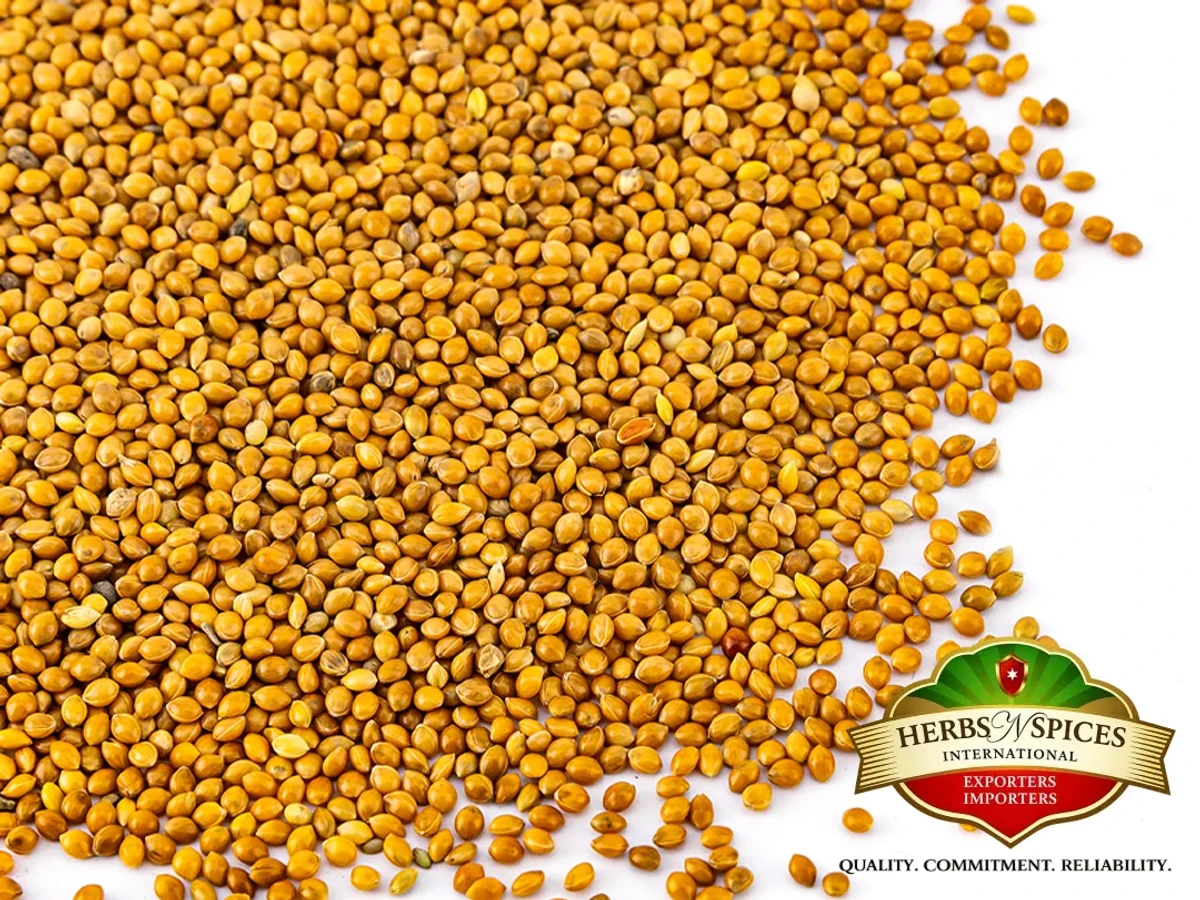 Yellow Millet