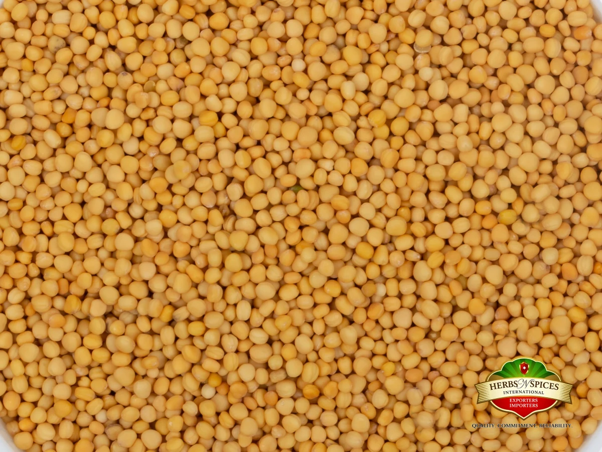 Yellow Mustard